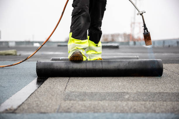 Best Roof Leak Repair  in Spring Park, MN