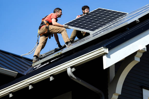 Best Roof Insulation Installation  in Spring Park, MN