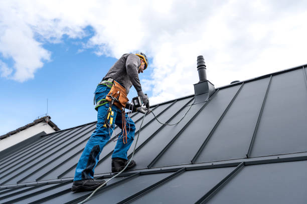 Best Sheet Metal Roofing  in Spring Park, MN