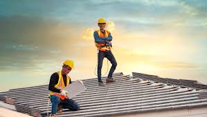 Best Roof Moss and Algae Removal  in Spring Park, MN